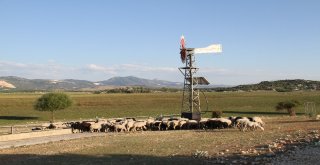 Hayvanların Su İhtiyacı Güneş Ve Rüzgar Enerjisinden