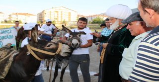 Akşehirde Eşeğe Binme Ve En Güzel Gözlü Eşek Yarışları Yapıldı