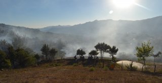 Adanada Yangında 2 Hektarlık Orman Zarar Gördü