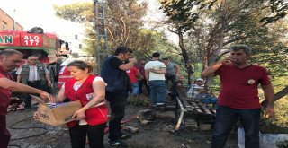 Hatayda Orman Yangınında Yoğun Mücadele