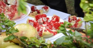 Yarışma Sonunda Ağzındaki Narı Yutmakta Zorlanan Yarışmacı  Yanıyorum Diyebildi