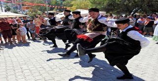 Çeşmenin Ünlü Sakız Koyunları Yarıştı