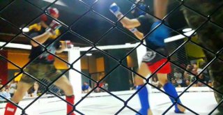 Küçükköy Spor Mma Takımı Yalovadan 2 Altın, 1 Gümüş Ve 3 Bronz Madalya İle Döndü