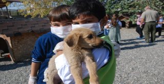 Öğrenciler Yavru Köpekleri Doyasıya Sevdi