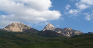 Cilo Dağlarında Yeni Bir Bitki Türü Keşfedildi