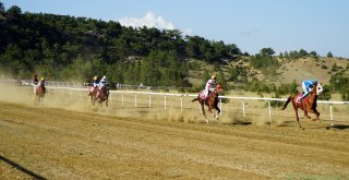 Taşköprüde Düzenlenen At Yarışları Nefesleri Kesti