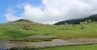 Türkiyede Huzurun Adresi; Karadeniz Yaylaları