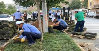 Belediyenin Dönüşüm Programı Hakkariye Renk Kattı