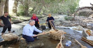 Başkan Çelik Yün Tokaçladı