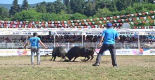 38. Kafkasör Kültür, Turizm Ve Sanat Festivali