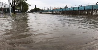 Sakaryada Sağanak Yağış Su Baskınlarına Neden Oldu