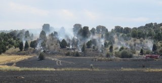 Konyada Ormanlık Alana Sıçrayan Yangın