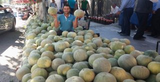 Siirt Yerli Kavunu Piyasaya Çıktı