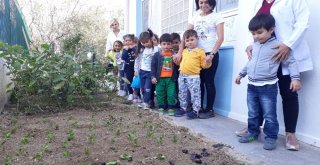 Çeşmede, Minik Eller Sebze Fidanı Dikti