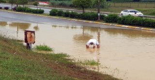 Sakaryada Sağanak Yağış Su Baskınlarına Neden Oldu