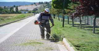 Bozüyük Parklarında Çalışmalar Hız Kesmiyor