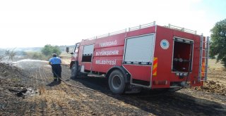 Arı Kovanları Yangında Küle Döndü