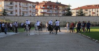 Akşehirde Eşeğe Binme Ve En Güzel Gözlü Eşek Yarışları Yapıldı