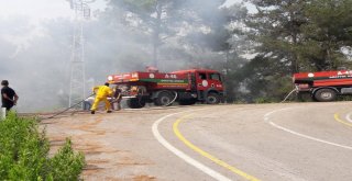 Hatayda Orman Yangını