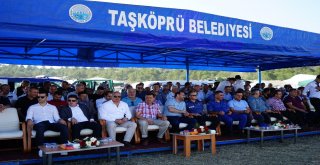 Taşköprüde Düzenlenen At Yarışları Nefesleri Kesti