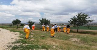 Litvanyadan Kamp İçin Gelen Misafirler İnek Sağdı