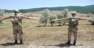 Asker Vatandaşla Birlikte Dağ, Taş Küçük Evrimi Arıyor