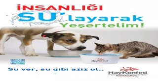 Sahipsiz Hayvanlar İçin Bir Kap Su, Bir Kap Yemek Çağrısı