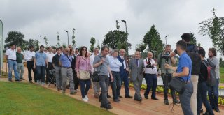 Denizden Trabzon Botanike Yürüyüş Yolu İle Ulaşılacak