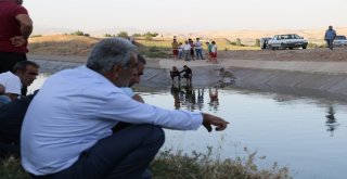 14 Kilometrelik Su Kanalında Son Nokta Da Tarandı Yusuftan Yine İz Yok