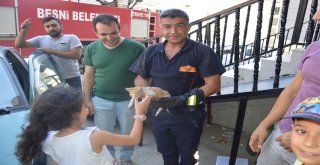 Otomobilin Tekerine Sıkışan Kedi İtfaiye Ekipleri Tarafından Kurtarıldı