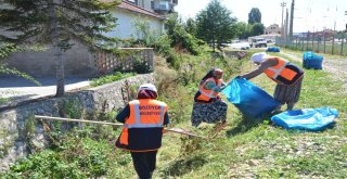 Bozüyük Parklarında Çalışmalar Hız Kesmiyor