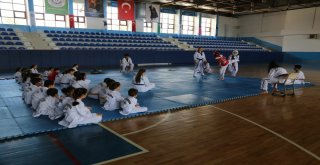 Odunpazarı Belediyesi Tekvando Yaz Okuluna Çocuklar Yoğun İlgi Gösterdi