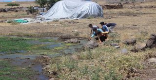 (Özel) 142 Seçmenli Mahallenin Sakinleri Belediyeye Tepki Yüzünden Sandığa Gitmedi