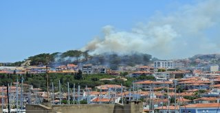 Çeşmede Orman Yangını Korkuttu