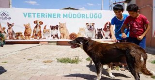 Adıyaman Belediyesi Öğrencilere Hayvan Sevgisini Aşılıyor