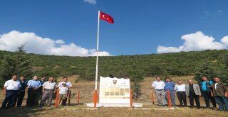 15 Temmuz Şehitleri Ve Gazileri Anısına Fidan