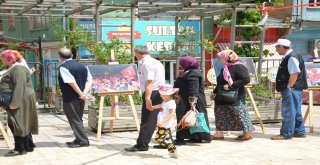 Bozüyükte “15 Temmuz” Konulu Fotoğraf Sergisi