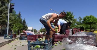 Meyve Ve Sebzeler Yola Saçıldı