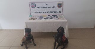 Gaziantepte Havadan Drone, Karadan İse Dedektör Köpekleriyle Uyuşturucu Operasyonu