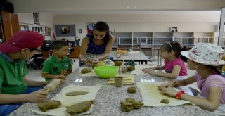 Güz Dönemi Çocuk Kursları Başlıyor