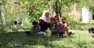 Hava Kararınca Ortaya Çıkıyorlar, Köylü Panikte