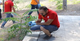 Tabiat Parkını Çöplerden Arındırdılar