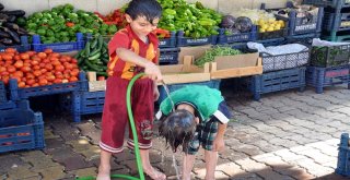 Çöl Sıcaklarında Çocuklar Hortumla Birbirlerini Islatarak Serinletti