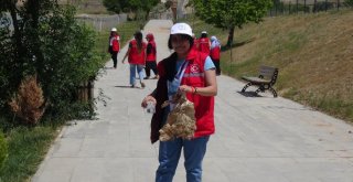 Damla Projesinin Gönüllü Elçileri Gercüşte