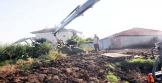 Sahibinden Kaçan Kurbanlık İnek Gübre Yığınına Saplandı