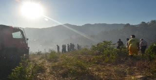 Adanada Yangında 2 Hektarlık Orman Zarar Gördü