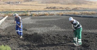 Siirtli Çiftçilerin Gübresi Belediyeden