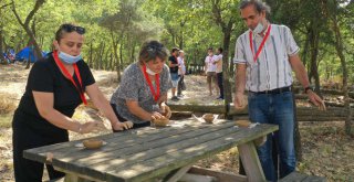 İnsanlık tarihine festival tadında yolculuk