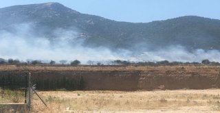 Alev Alan Araç Makilik Alanı Yaktı, Ekiplerin Müdahalesi Sürüyor