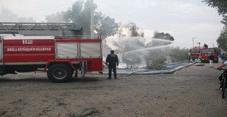 Kuş Cennetinde Korkutan Yangın